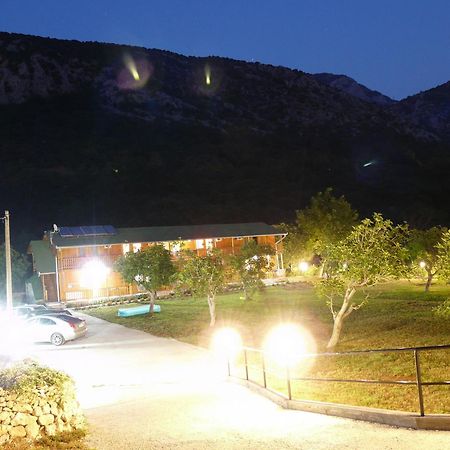 Guest House Jadran Pol Petrovac na moru Exterior foto