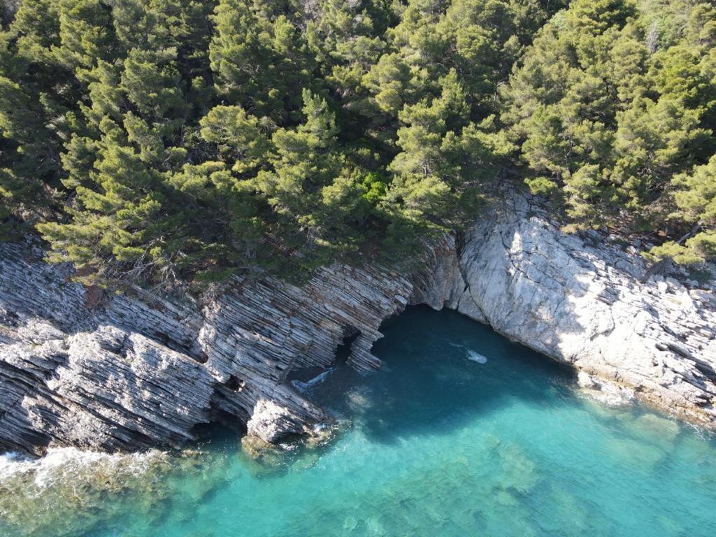Guest House Jadran Pol Petrovac na moru Exterior foto